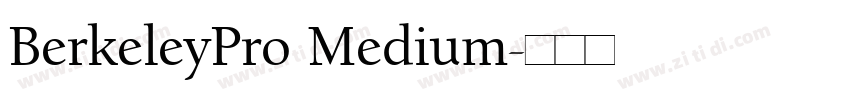 BerkeleyPro Medium字体转换